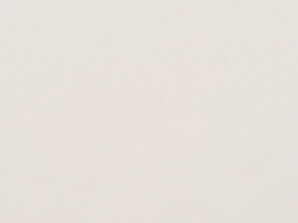 Плед флисовый Polar, белый