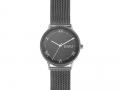 Часы наручные, мужские. Skagen