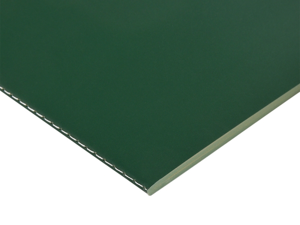 Бизнес-тетрадь А5 "Pragmatic Contrast", 40 листов в клетку, темно-зеленый с салатовым срезом