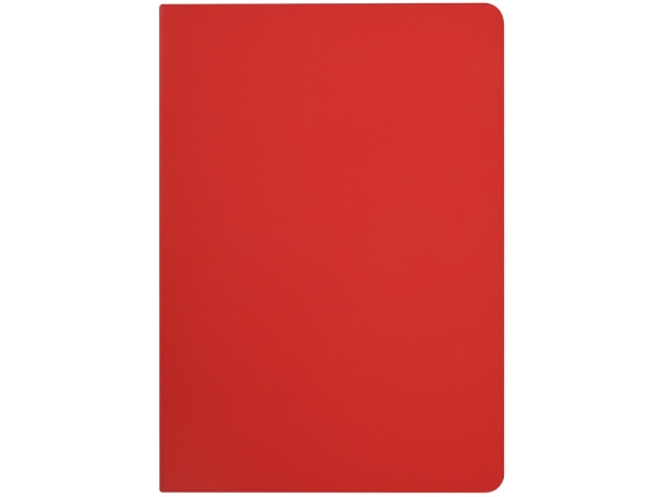 Бизнес-тетрадь А5 "Pragmatic Contrast", 40 листов в клетку, красный с темно-серым срезом