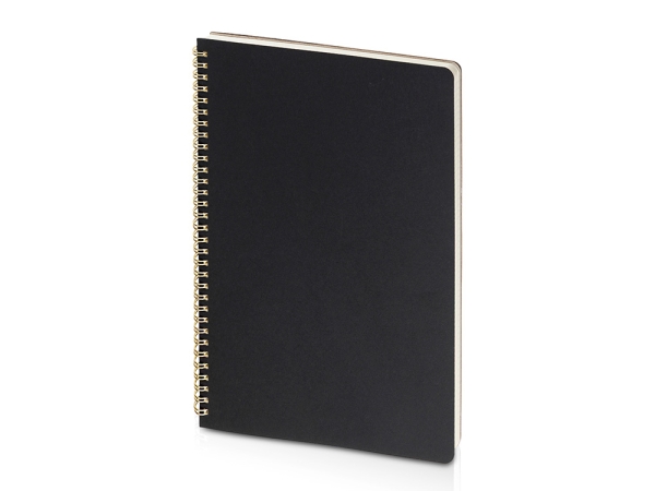 Бизнес тетрадь на гребне А4 "Pragmatic", 100 листов в клетку, черный