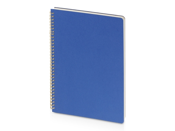 Бизнес тетрадь на гребне А4 "Pragmatic", 100 листов в клетку, синий